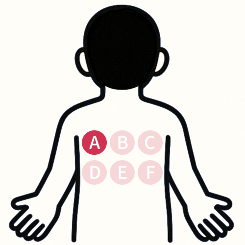 背中の痛い場所