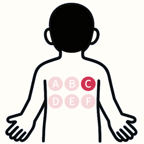 背中の痛い場所