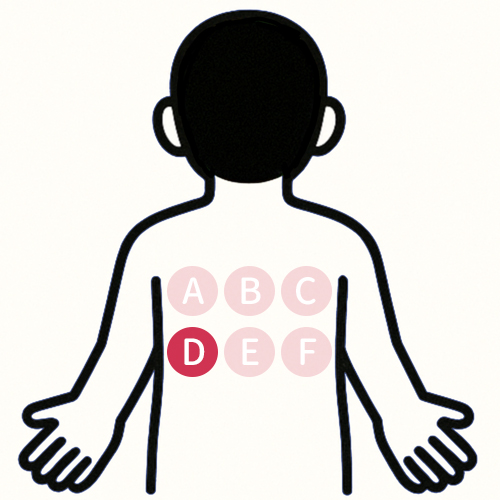 背中の痛い場所