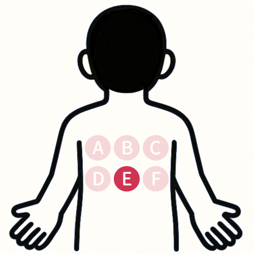 背中の痛い場所