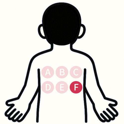 背中の痛い場所